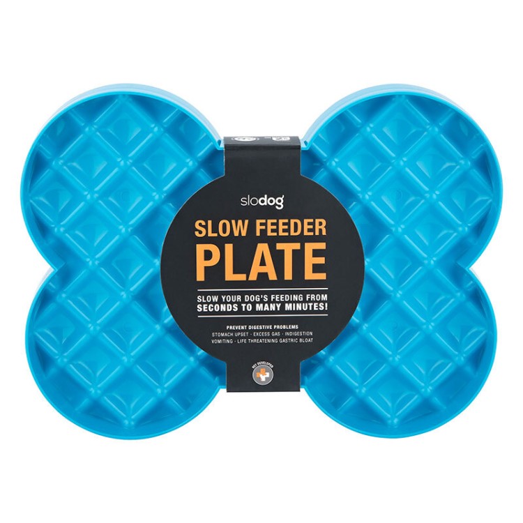 Slodog Slow Feeder Plate Cyaan