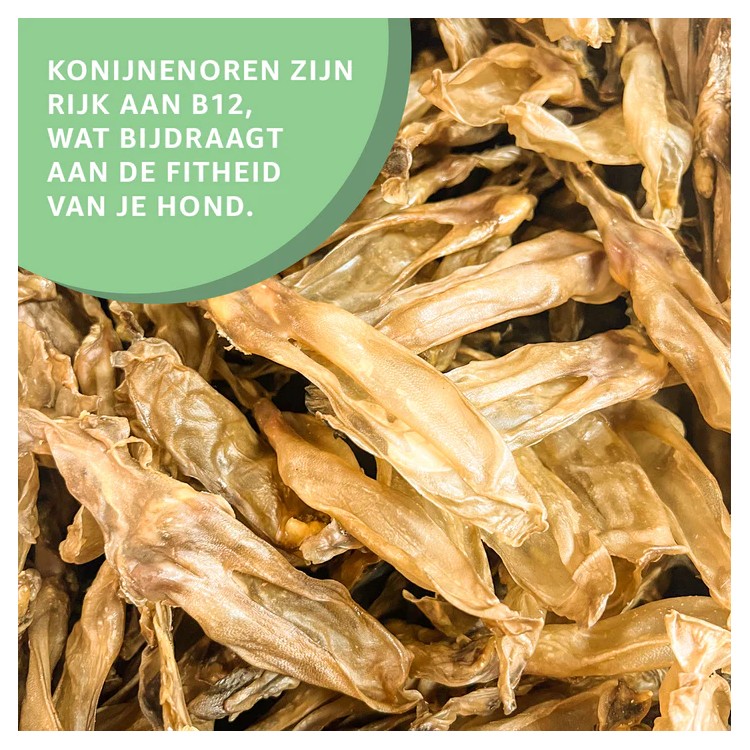 Konijnenoren zonder haar