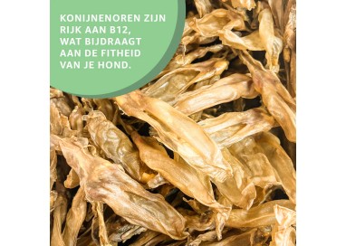 Konijnenoren zonder haar